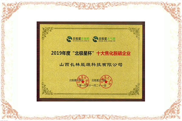 2019 年度十大焦化脱硝企业